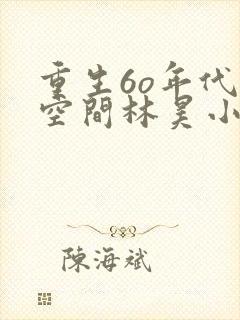 重生6o年代带空间林昊小说