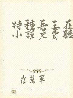 特种兵王在山村小说免费听书