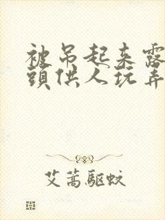被吊起来露出奶头供人玩弄封面