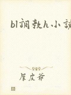 bl调教h小说封面