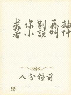 求你别再抽了原著小说叫什么封面