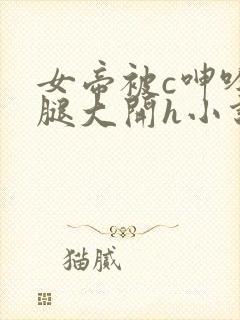 女帝被c呻吟双腿大开h小说封面
