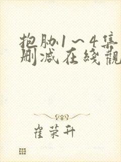 抱胁1～4集无删减在线观看