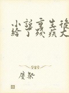 小说重生后我嫁给了残疾大佬