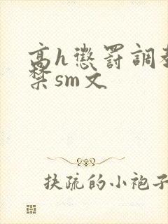 高h惩罚调教囚禁sm文