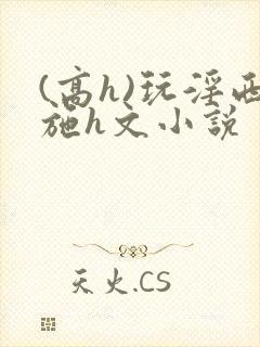(高h)玩淫西施h文小说