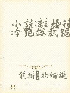 小说:离婚后,冷艳总裁跪求复婚