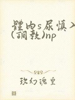体内s尿慎入h(调教)np