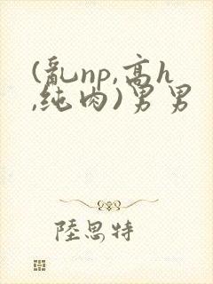 (乱np,高h,纯肉)男男
