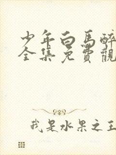 少年白马醉春风全集免费观看17集