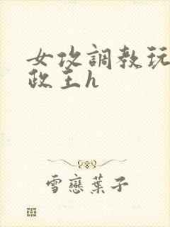 女攻调教玩弄摄政王h