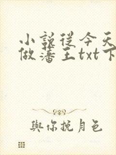 小说从今天开始做藩王txt下载