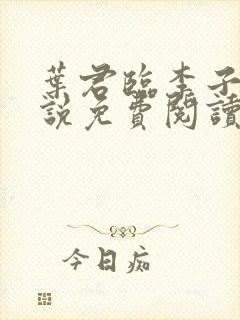 叶君临李子染小说免费阅读