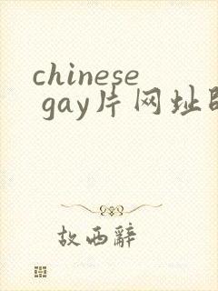 chinese gay片网址帅哥