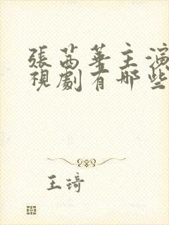 张茜华主演的电视剧有哪些封面