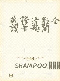 藏锋清欢全文阅读笔趣阁封面