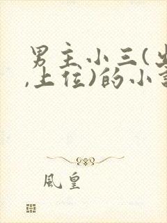 男主小三(出轨,上位)的小说