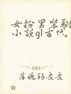 女扮男装驸马的小说gl古代