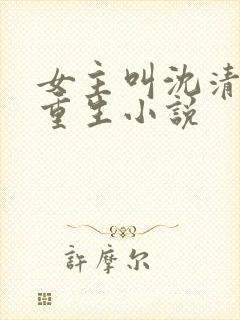 女主叫沈清梨的重生小说封面