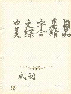 中文字幕日韩欧美综合精品