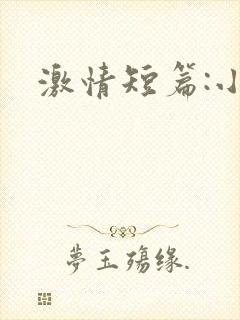 激情短篇:小说