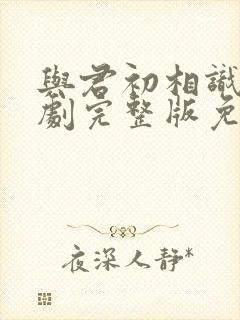 与君初相识电视剧完整版免费