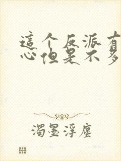 这个反派有点良心但是不多小说txt下载封面