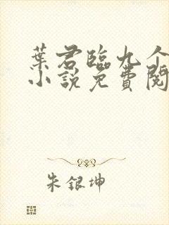 叶君临九个师父小说免费阅读全文