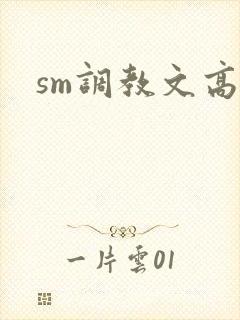 sm调教文高h