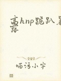 高hnp跪趴暴露封面