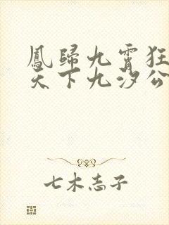 凤归九霄狂妃逆天下九汐公子