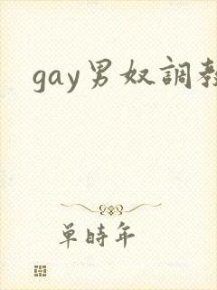 gay男奴调教