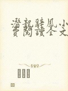 潜龙辞凤小说免费阅读全文最新章节封面