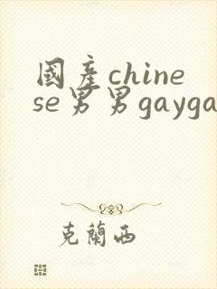 国产chinese男男gaygay 网站