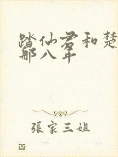 踏仙君和楚妃的那八年封面