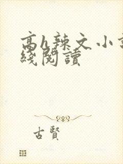 高h辣文小说在线阅读封面