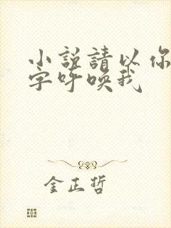 小说请以你的名字呼唤我