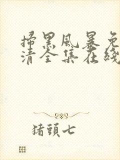 扫黑风暴免费高清全集在线封面
