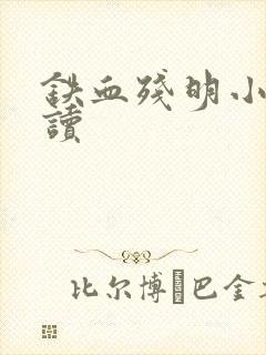 铁血残明小说阅读