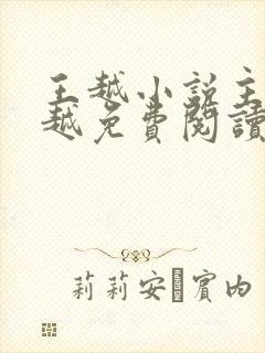 王越小说主角王越免费阅读正版