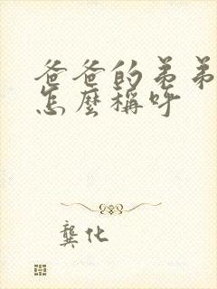 爸爸的弟弟老婆怎么称呼封面