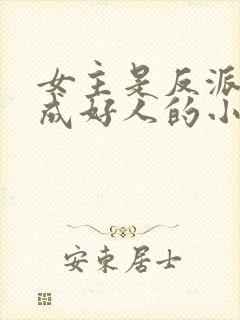 女主是反派却装成好人的小说封面