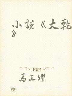 小说《大乾憨婿》