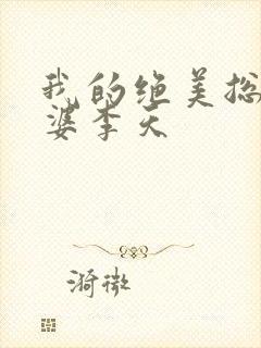 我的绝美总裁老婆李天