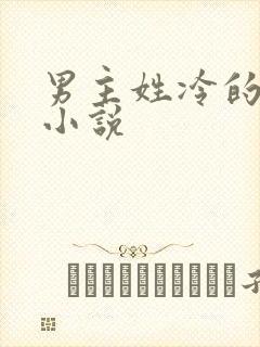 男主姓冷的总裁小说封面