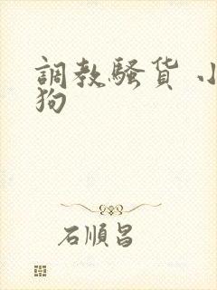 调教骚货 小母狗封面