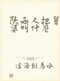 陕西人把舅舅老婆叫什么
