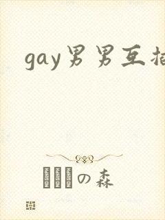 gay男男互插