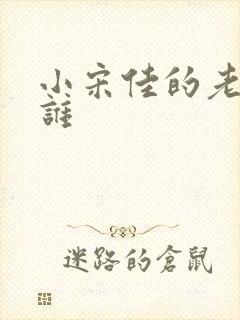 小宋佳的老公是谁