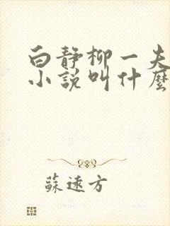 白静柳一夫原著小说叫什么名字封面